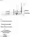 Fig. 11 - PREPARATION AND USE OF GINSENTIDES AND GINSENTIDE-LIKE PEPTIDES