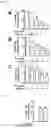 Fig. 12 - PREPARATION AND USE OF GINSENTIDES AND GINSENTIDE-LIKE PEPTIDES