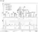 Fig. 13 - PREPARATION AND USE OF GINSENTIDES AND GINSENTIDE-LIKE PEPTIDES
