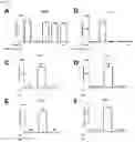 Fig. 22 - PREPARATION AND USE OF GINSENTIDES AND GINSENTIDE-LIKE PEPTIDES