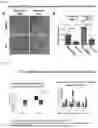 Fig. 33 - PREPARATION AND USE OF GINSENTIDES AND GINSENTIDE-LIKE PEPTIDES