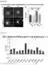 Fig. 34 - PREPARATION AND USE OF GINSENTIDES AND GINSENTIDE-LIKE PEPTIDES