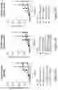Fig. 23 - IL-10 VARIANT MOLECULES AND METHODS FOR TREATING INFLAMMATORY DISEASE AND ONCOLOGY