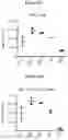 Fig. 17 - MULTIMERIZATION OF IL-15/IL-15R-ALPHA-FC COMPLEXES TO ENHANCE IMMUNOTHERAPY