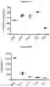 Fig. 19 - MULTIMERIZATION OF IL-15/IL-15R-ALPHA-FC COMPLEXES TO ENHANCE IMMUNOTHERAPY