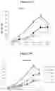 Fig. 20 - MULTIMERIZATION OF IL-15/IL-15R-ALPHA-FC COMPLEXES TO ENHANCE IMMUNOTHERAPY