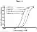 Fig. 26 - MULTIMERIZATION OF IL-15/IL-15R-ALPHA-FC COMPLEXES TO ENHANCE IMMUNOTHERAPY