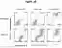 Fig. 34 - MULTIMERIZATION OF IL-15/IL-15R-ALPHA-FC COMPLEXES TO ENHANCE IMMUNOTHERAPY