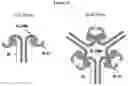 Fig. 48 - MULTIMERIZATION OF IL-15/IL-15R-ALPHA-FC COMPLEXES TO ENHANCE IMMUNOTHERAPY