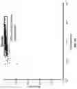 Fig. 24 - Compositions and methods for T-cell receptor gene assembly