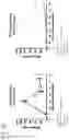 Fig. 73 - T-CELL MODULATORY ANTIGEN-PRESENTING POLYPEPTIDES AND METHODS OF USE THEREOF