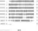 Fig. 04 - BETA-ARRESTIN MUTANTS