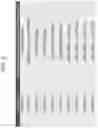 Fig. 03 - THROMBIN CLEAVABLE LINKER WITH XTEN AND ITS USES THEREOF
