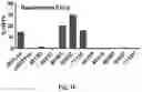 Fig. 04 - USE OF MODIFIED HIV-1 FOR GENERATING FULLY HUMAN ANTIBODIES