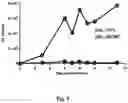 Fig. 08 - USE OF MODIFIED HIV-1 FOR GENERATING FULLY HUMAN ANTIBODIES