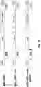 Fig. 18 - USE OF MODIFIED HIV-1 FOR GENERATING FULLY HUMAN ANTIBODIES