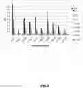Fig. 09 - ANTI-NGF ANTIBODIES AND METHODS OF USE THEREOF