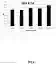 Fig. 10 - ANTI-NGF ANTIBODIES AND METHODS OF USE THEREOF