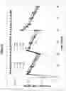 Fig. 11 - ANTI-NGF ANTIBODIES AND METHODS OF USE THEREOF