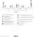 Fig. 16 - ANTI-NGF ANTIBODIES AND METHODS OF USE THEREOF