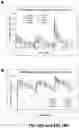 Fig. 19 - ANTI-NGF ANTIBODIES AND METHODS OF USE THEREOF