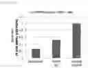 Fig. 23 - Anti-CD147 antibody