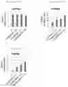 Fig. 26 - Anti-CD147 antibody
