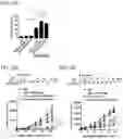 Fig. 12 - Antitumor Agent