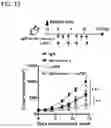 Fig. 13 - Antitumor Agent