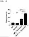 Fig. 14 - Antitumor Agent