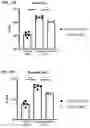 Fig. 23 - Method of treating asthma with anti-IL1RAP antibodies