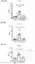 Fig. 24 - Method of treating asthma with anti-IL1RAP antibodies