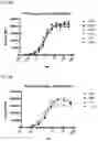 Fig. 03 - Multivalent and multispecific OX40-binding fusion proteins