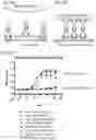 Fig. 11 - Multivalent and multispecific OX40-binding fusion proteins