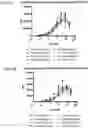 Fig. 13 - Multivalent and multispecific OX40-binding fusion proteins