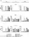 Fig. 01 - ANTIBODY