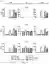 Fig. 02 - ANTIBODY