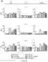 Fig. 03 - ANTIBODY