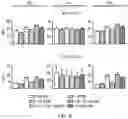 Fig. 05 - ANTIBODY