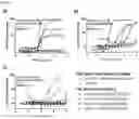 Fig. 117 - HETERODIMERIC ANTIBODIES THAT BIND MSLN AND CD3