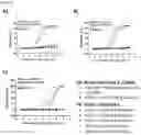 Fig. 119 - HETERODIMERIC ANTIBODIES THAT BIND MSLN AND CD3