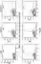 Fig. 07 - CHIMERIC ANTIGEN RECEPTORS