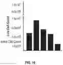 Fig. 12 - CHIMERIC ANTIGEN RECEPTORS