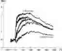 Fig. 01 - NOVEL BIOTIN-SPECIFIC MONOCLONAL ANTIBODY AND USE THEREOF