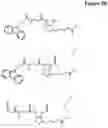 Fig. 04 - NOVEL BIOTIN-SPECIFIC MONOCLONAL ANTIBODY AND USE THEREOF