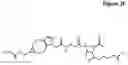Fig. 05 - NOVEL BIOTIN-SPECIFIC MONOCLONAL ANTIBODY AND USE THEREOF