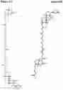 Fig. 06 - NOVEL BIOTIN-SPECIFIC MONOCLONAL ANTIBODY AND USE THEREOF