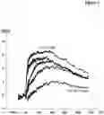 Fig. 09 - NOVEL BIOTIN-SPECIFIC MONOCLONAL ANTIBODY AND USE THEREOF