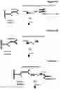 Fig. 10 - NOVEL BIOTIN-SPECIFIC MONOCLONAL ANTIBODY AND USE THEREOF