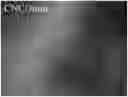 Fig. 01 - Multi-response cellulose nanocrystals-composite film and preparation method thereof
